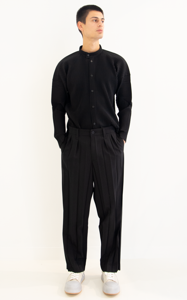 Wide Pleats Trousers