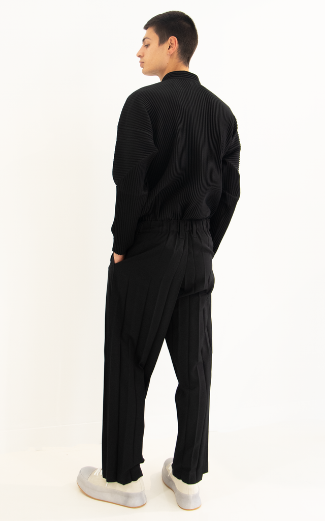 Wide Pleats Trousers
