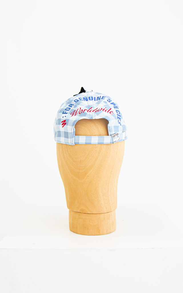 Clown Cap