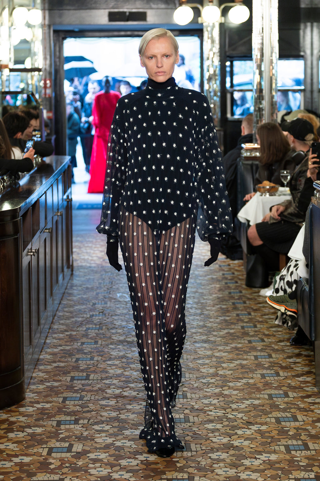 Polka transparent dress
