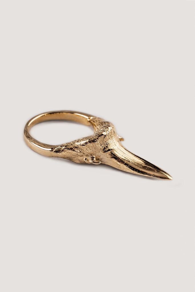 Ring with a shark tooth